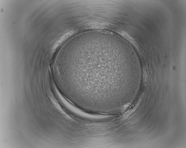 X0000059090581200510172057