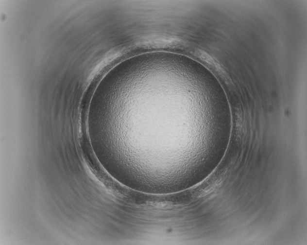 X0000059090582200510172057