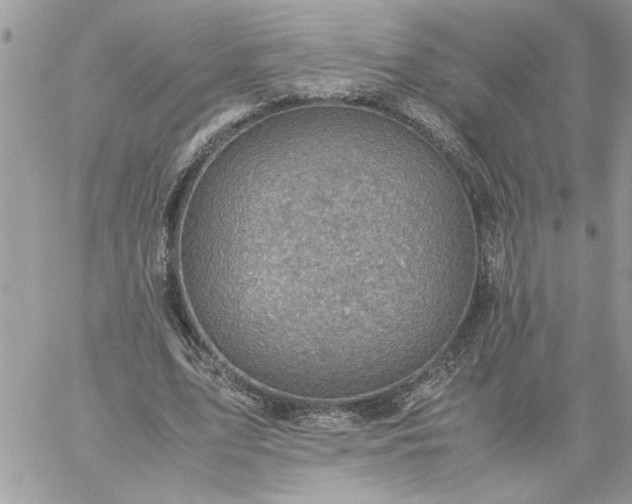 X0000059090583200510172057