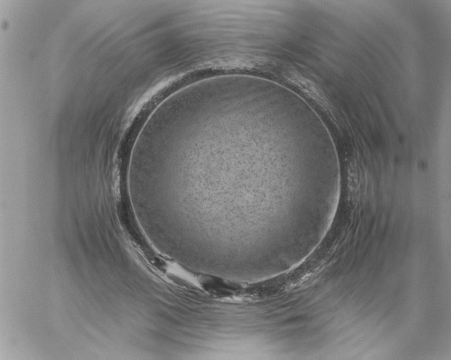 X0000059090584200510172057