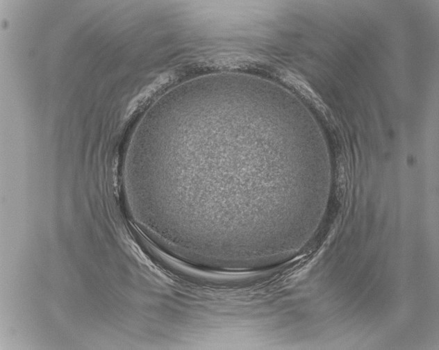 X0000059090585200510172057