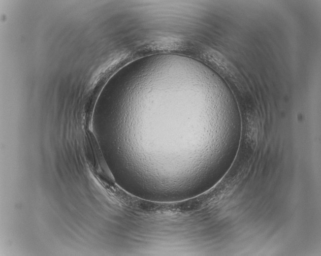 X0000059090586200510172057