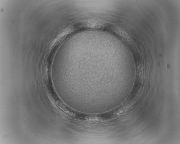 X0000059090587200510172057