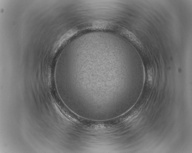 X0000059090588200510172057