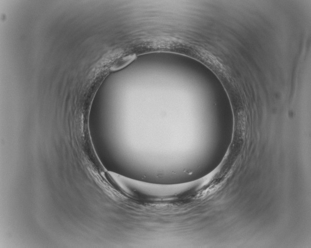 X0000059090589200510172057