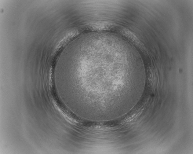 X0000059090590200510172057