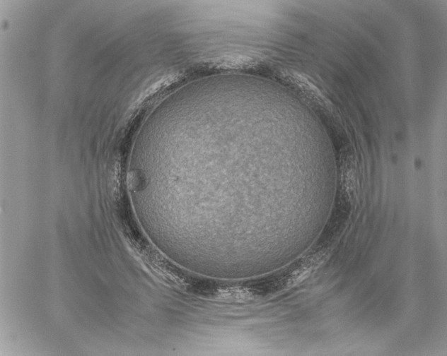 X0000059090591200510172057