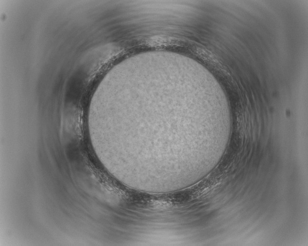 X0000059090592200510172057