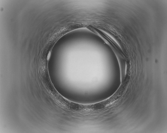 X0000059090593200510172057