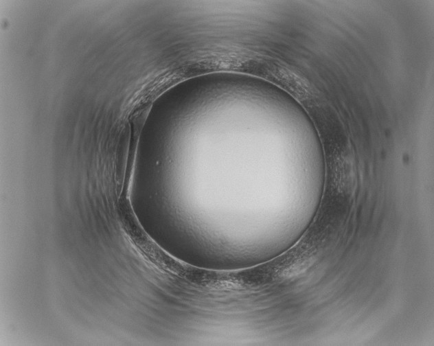 X0000059090594200510172057