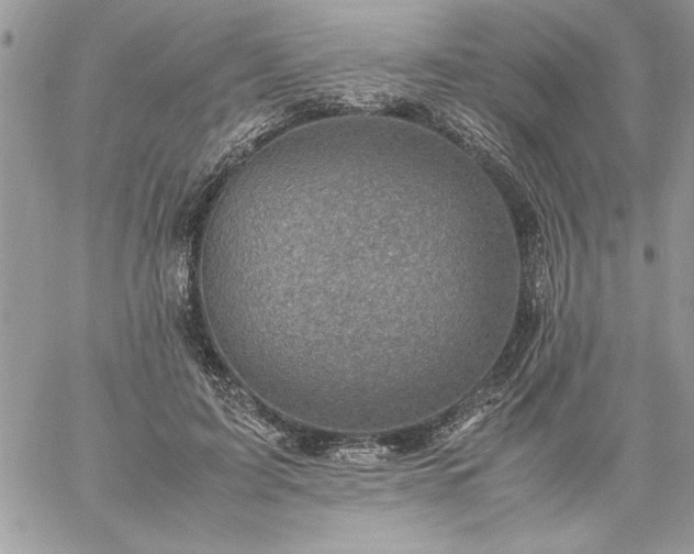 X0000059090595200510172057