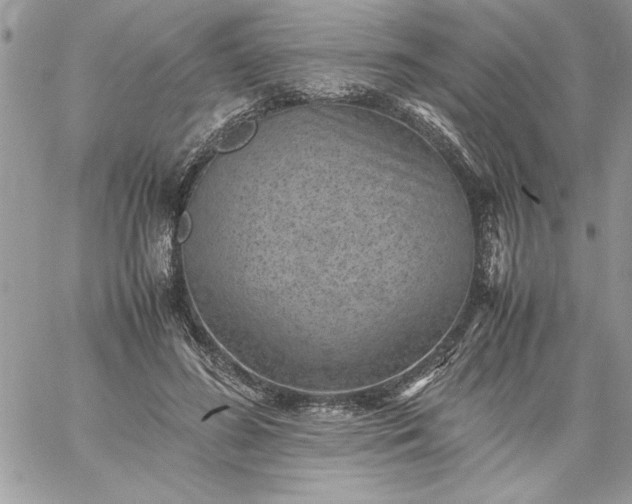 X0000059090596200510172057