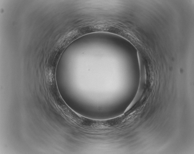 X0000059090597200510172057