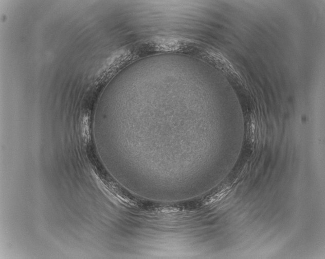 X0000059090598200510172057