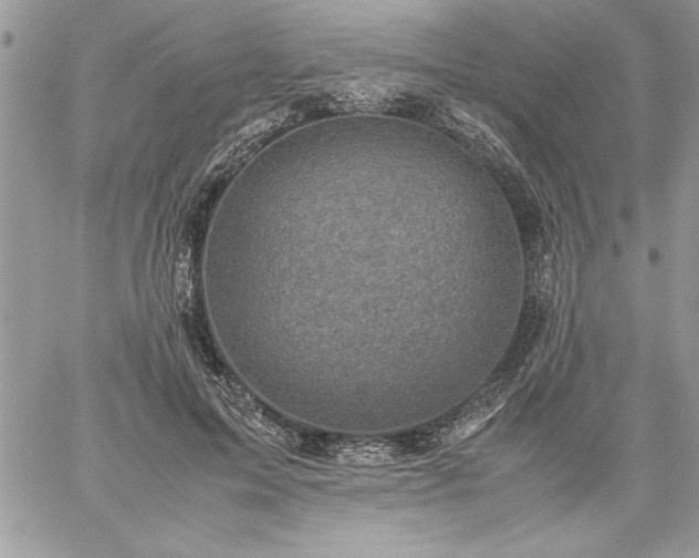 X0000059090599200510172057