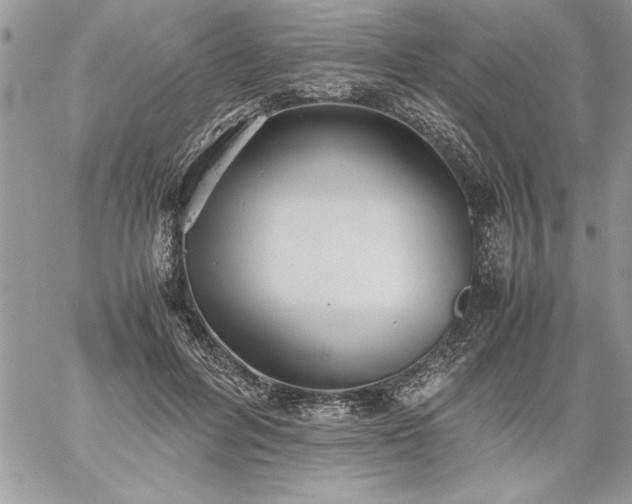 X0000059090600200510172057