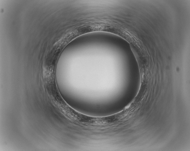 X0000059090601200510172056