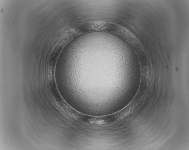 X0000059090602200510172056