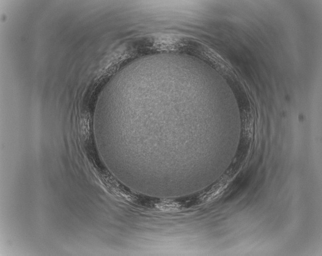 X0000059090603200510172056