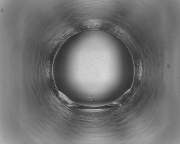 X0000059090604200510172056