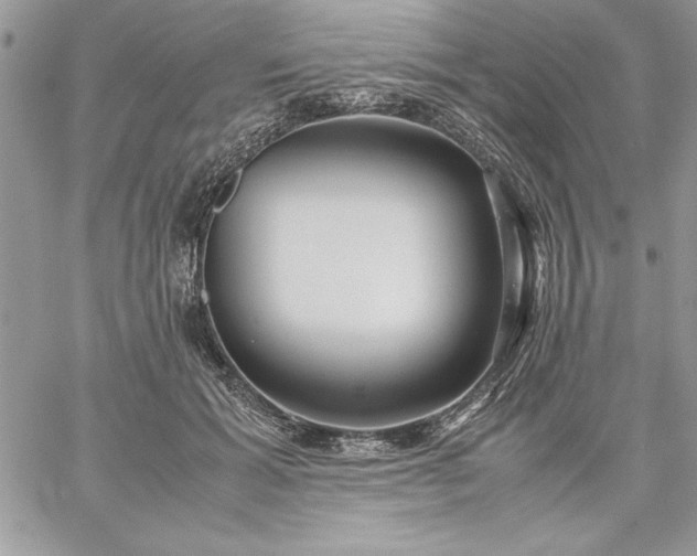 X0000059090605200510172056