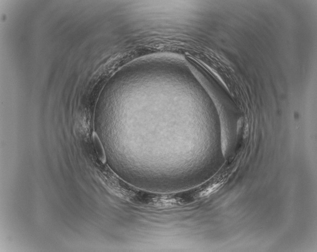 X0000059090607200510172056