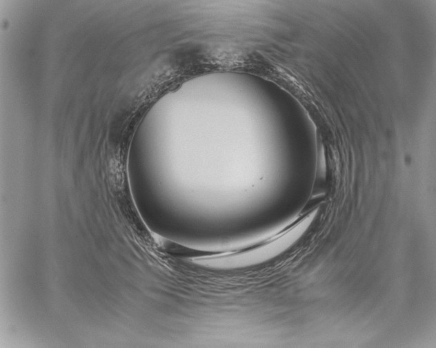 X0000059090609200510172056