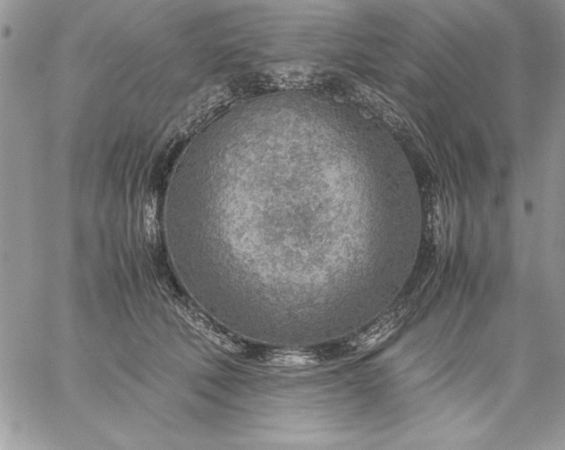 X0000059090610200510172056