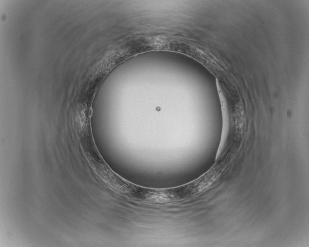 X0000059090611200510172056