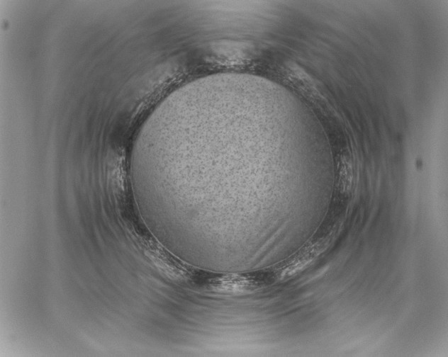 X0000059090612200510172056