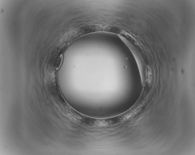 X0000059090613200510172056