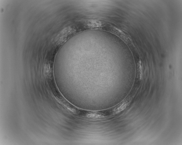 X0000059090614200510172056