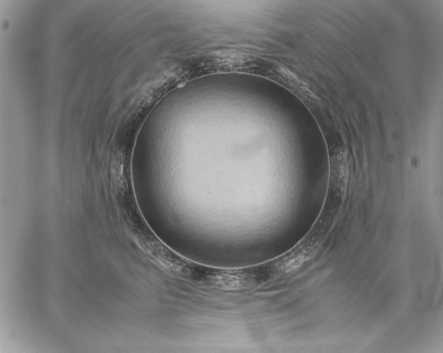 X0000059090615200510172056