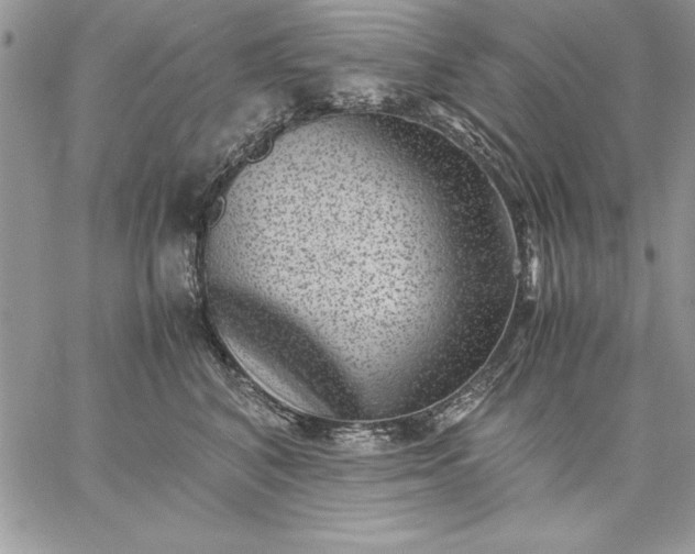 X0000059090616200510172056