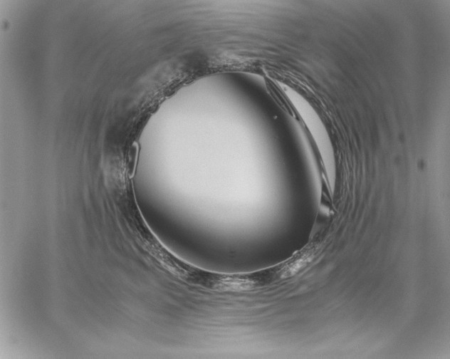 X0000059090617200510172056