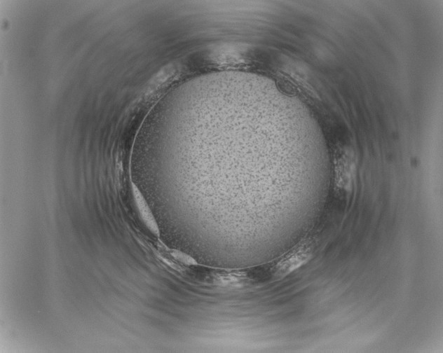 X0000059090618200510172056