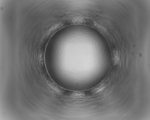 X0000059090619200510172056