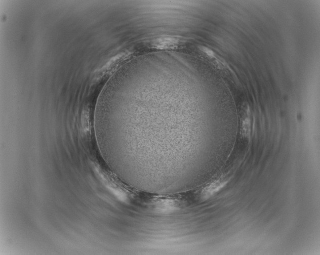 X0000059090620200510172056