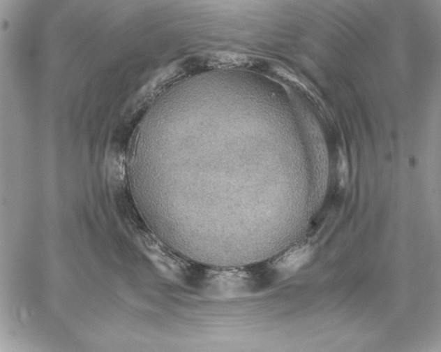 X0000059090621200510172056