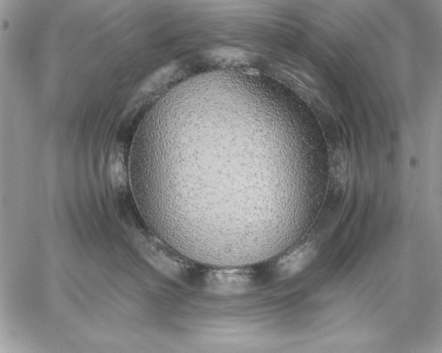 X0000059090622200510172056