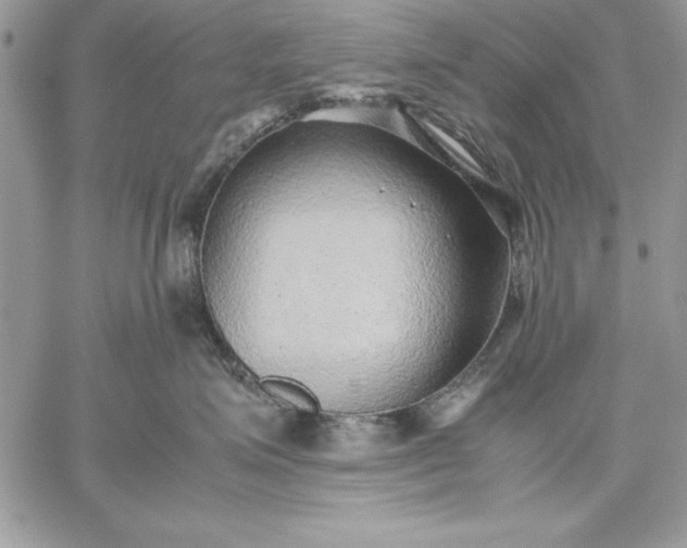 X0000059090623200510172056