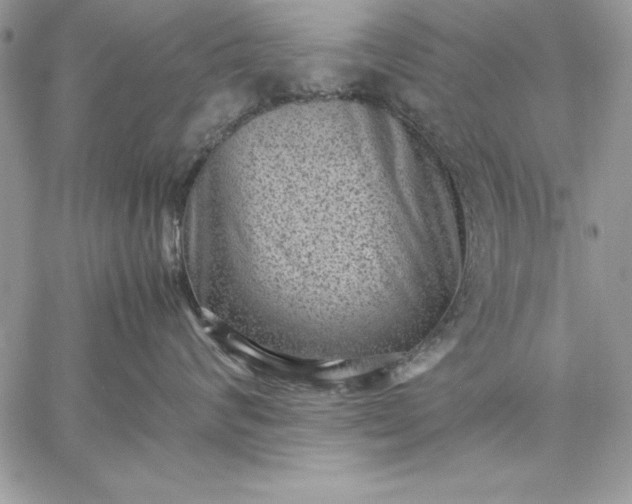 X0000059090624200510172056