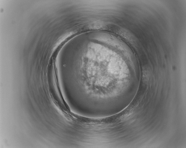 X0000059090626200510172055