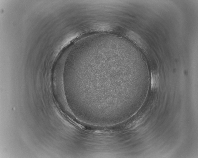 X0000059090627200510172055