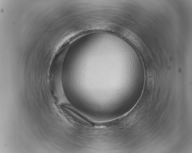 X0000059090628200510172055