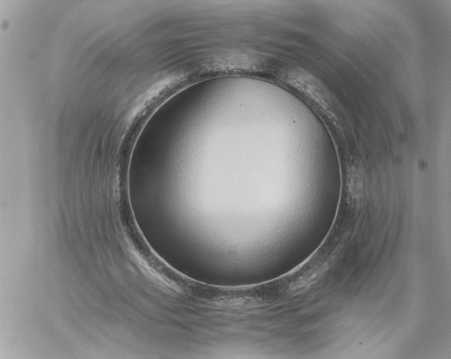 X0000059090629200510172055