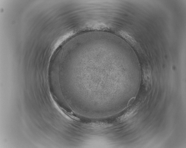 X0000059090630200510172055