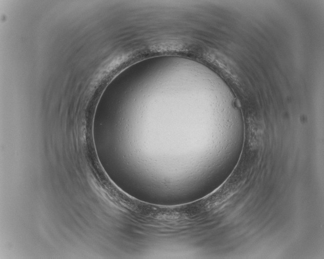 X0000059090631200510172055