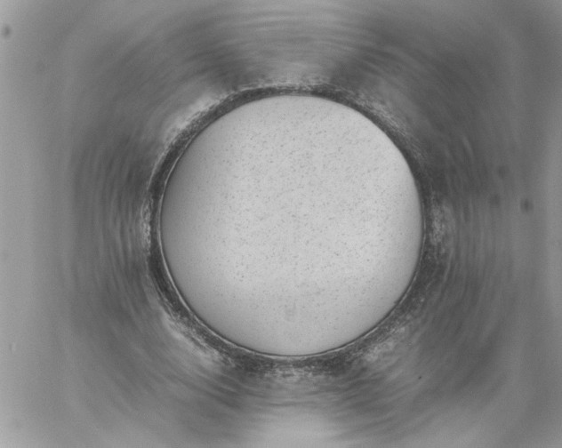 X0000059090632200510172055