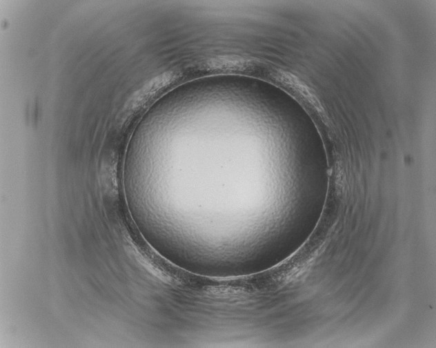 X0000059090633200510172055